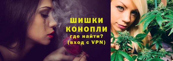 гидра Наволоки