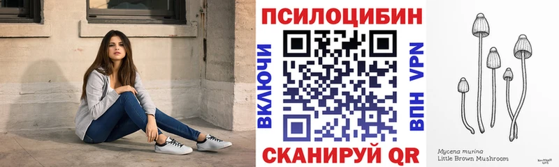 Псилоцибиновые грибы Psilocybe  где купить наркоту  Бакал 