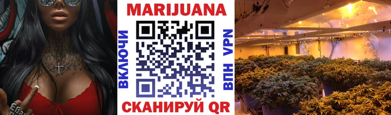 OMG ссылка  Бакал  Каннабис SATIVA & INDICA  сколько стоит 